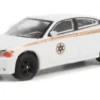 Greenlight Dodge Charger Pursuit, 2011, Absaroka County Sheriff, 1:64, Clearance