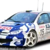 Sun Star Peugeot 206 WRC, Rally San Remo, 1999, #15, G.Panizzi/H.Panizzi, 1:18, Outlet
