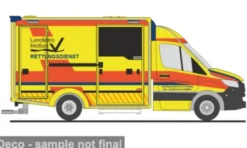 Rietze Wietmarscher Ambulanzfahrzeug - Design RTW, 2018, Rettungsdienst Ammerland, 1:87, Sale